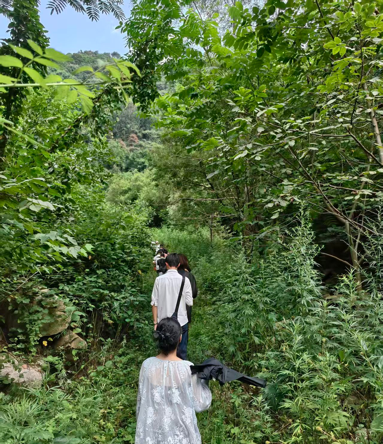 通向葫芦坡的山路